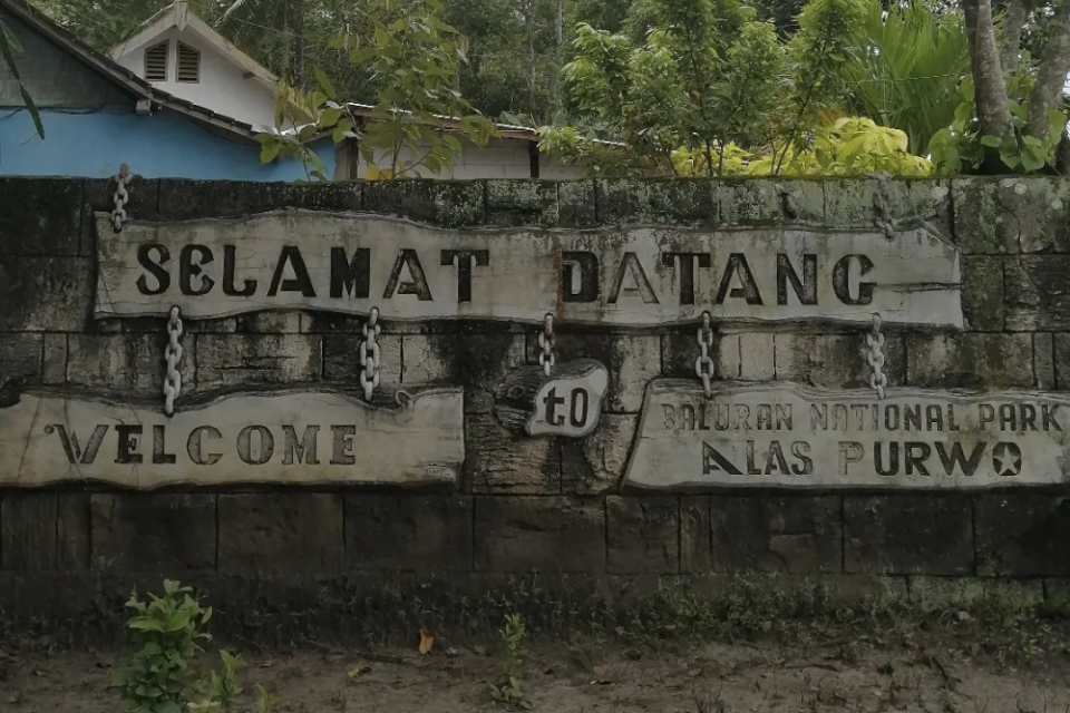 Misteri Alas Purwo