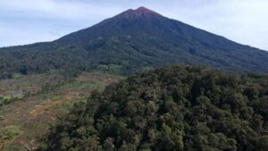 Misteri Bukit Orang Bunian: Kisah Hilangnya Pendaki di Hutan Gaib