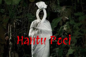 Hantu Poci