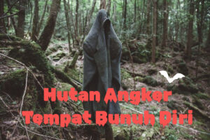 Hutan Angker Tempat Bunuh Diri