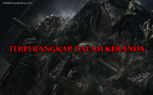 Terperangkap dalam Keranda