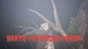 Hantu Penunggu Pohon