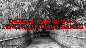 Dicegat Kuntilanak Penunggu Pohon Bambu