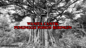 Wanita Cantik Penunggu Pohon Beringin