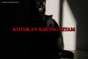 Kutukan Kucing Hitam