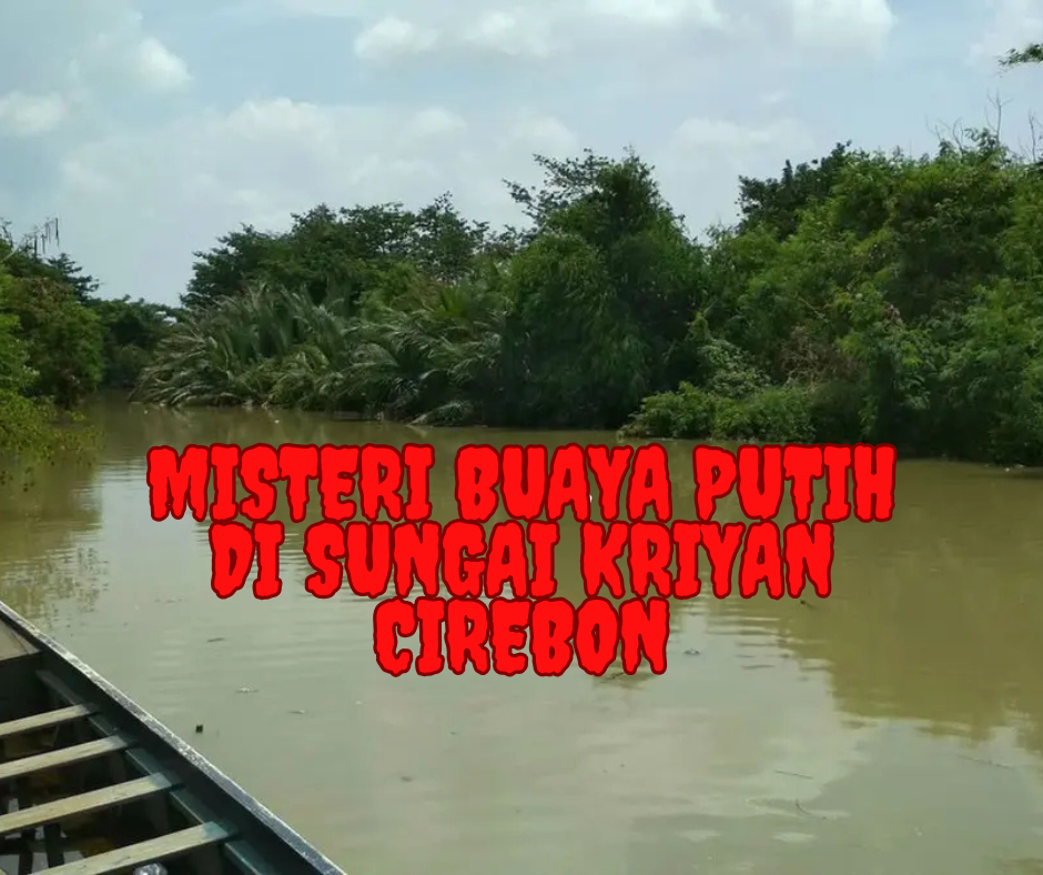 Misteri Buaya Putih di Sungai Kriyan, Cirebon: Legenda, Mitos, dan Kepercayaan