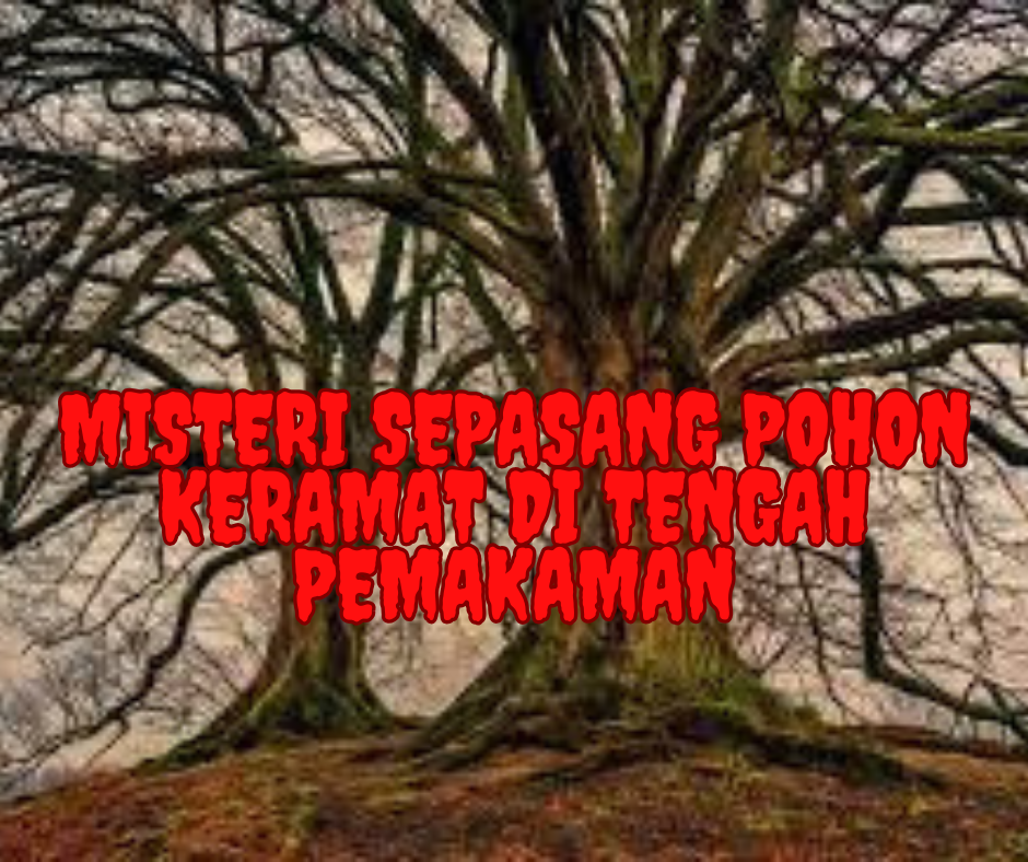 Misteri Sepasang Pohon Keramat di Tengah Pemakaman