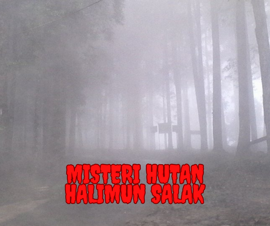 Misteri Hutan Halimun Salak