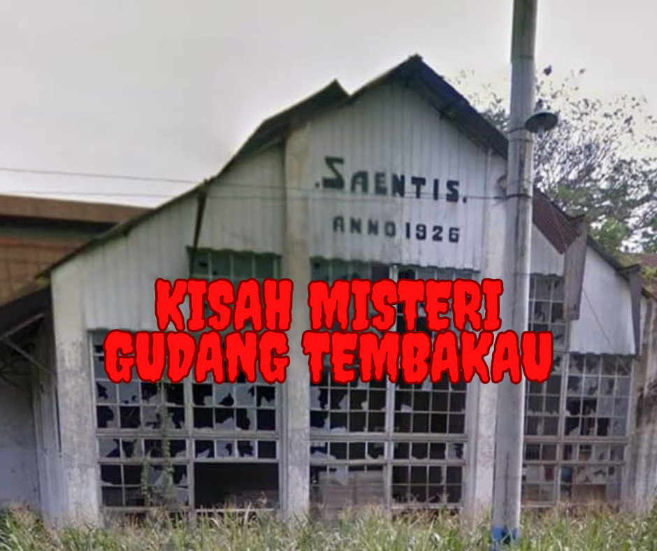 Kisah Misteri Gudang Tembakau