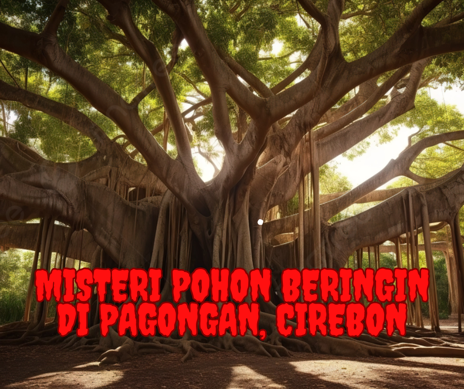 Sejarah dan Misteri Pohon Beringin Panca Warna di Pagongan, Cirebon