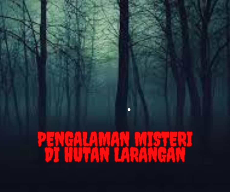 Pengalaman Misteri di Hutan Larangan: Kisah yang Tak Terlupakan