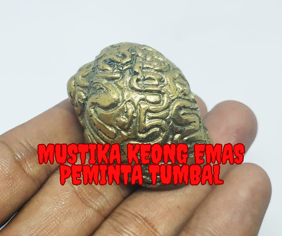 Kisah Pesugihan Pengusaha Resto: Mustika Keong Emas Peminta Tumbal