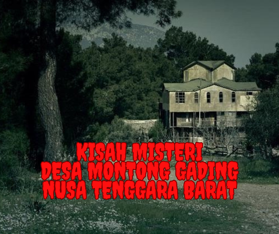 Kisah Misteri Desa Montong Gading, Nusa Tenggara Barat