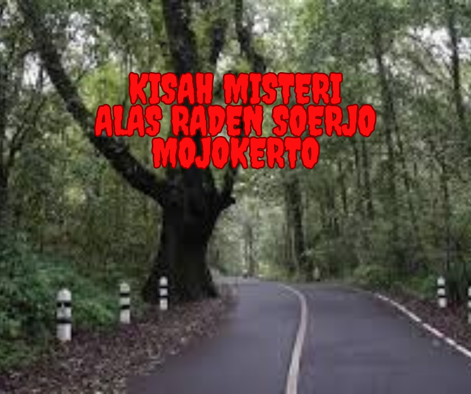 Kisah Misteri Alas Raden Soerjo Mojokerto