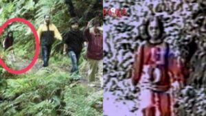 Sosok Berbaju Merah di Tengah Hutan