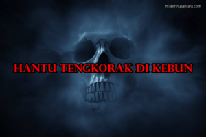 Hantu Tengkorak di Kebun