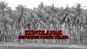 Kuntilanak Penunggu Pohon Kelapa