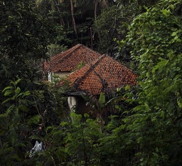 Kutukan Dukun Santet Sekar Mayang