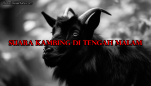 Suara Kambing di Tengah Malam