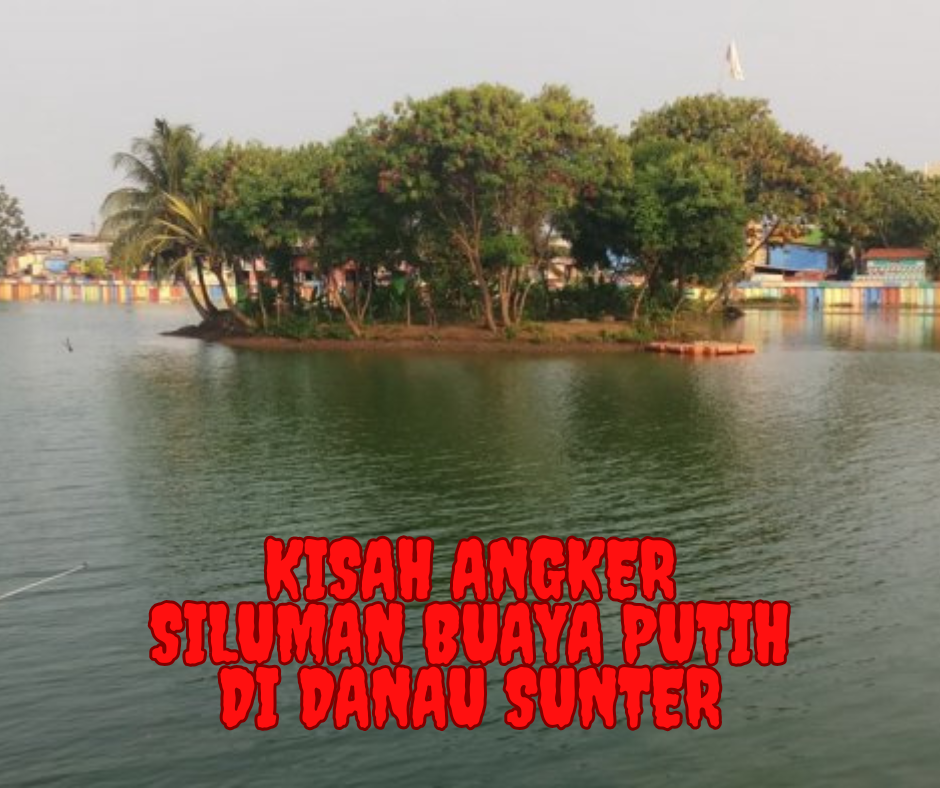 Kisah Angker Siluman Buaya Putih di Danau Sunter, Jakarta