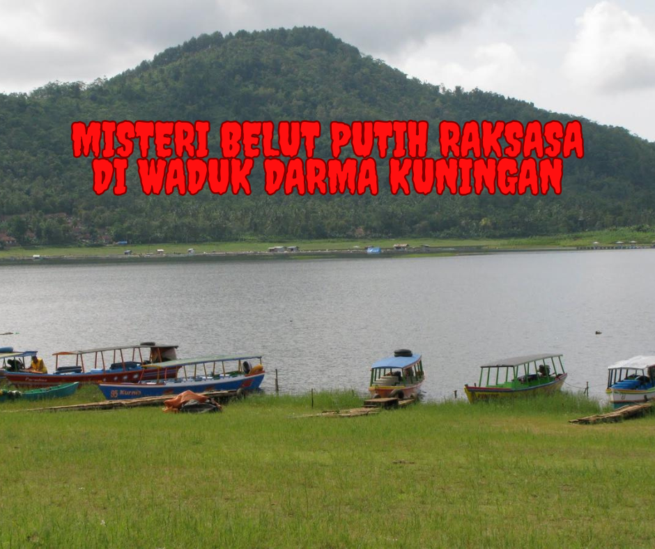 Misteri Belut Putih Raksasa di Waduk Darma Kuningan