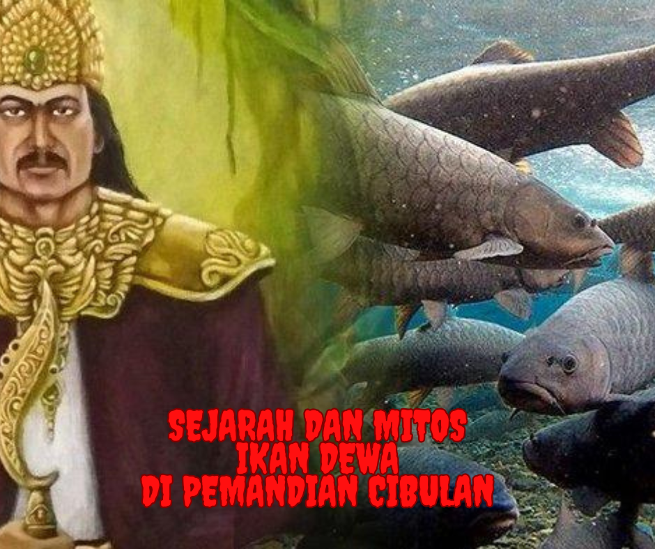 Sejarah dan Mitos Ikan Dewa di Pemandian Cibulan