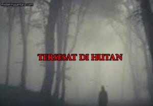 Tersesat Di Hutan