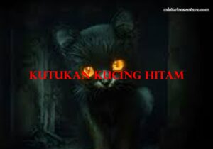 Kutukan Kucing Hitam