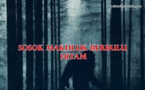 Sosok Makhluk Berbulu Hitam